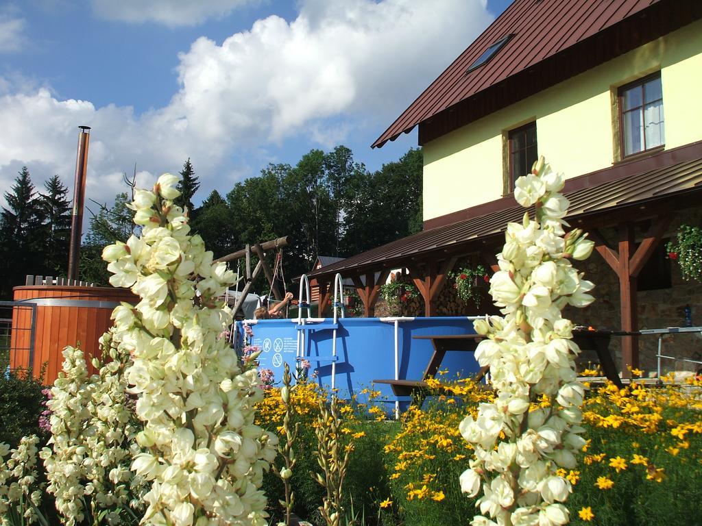 Apartments Vecernik Rokytnice Rokytnice nad Jizerou Exterior photo